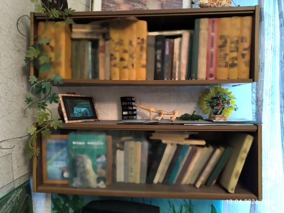 Книжные полки (2шт) Донецк