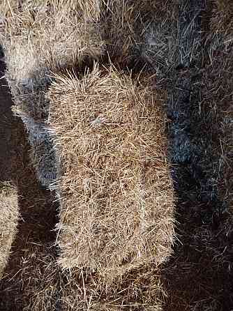 Сено, солома Донецк