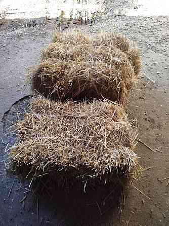 Сено, солома Донецк