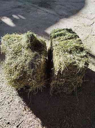 Сено, солома Донецк