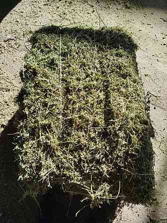 Сено, солома Донецк