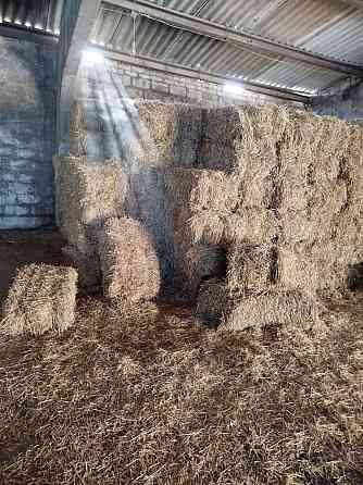 Сено, солома Донецк