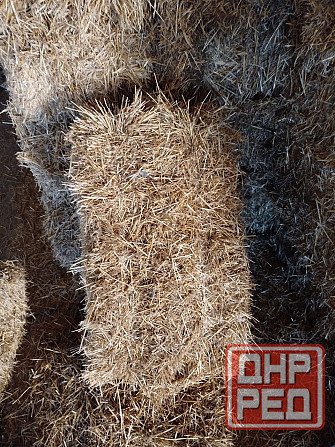 Сено, солома Донецк - изображение 6