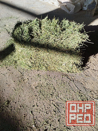 Сено, солома Донецк - изображение 3