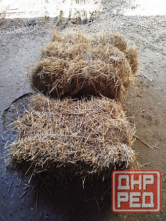 Сено, солома Донецк - изображение 5