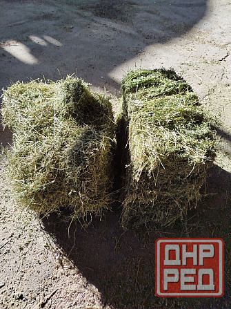 Сено, солома Донецк - изображение 4