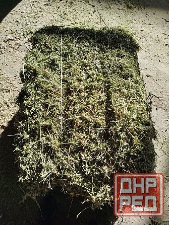 Сено, солома Донецк - изображение 2