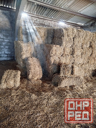 Сено, солома Донецк - изображение 1