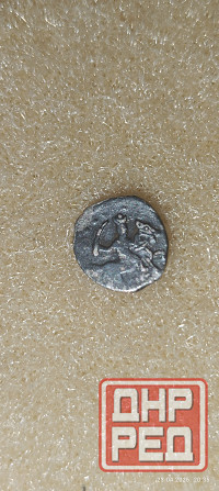 Чешуйка Ивана Грозного Донецк - изображение 1