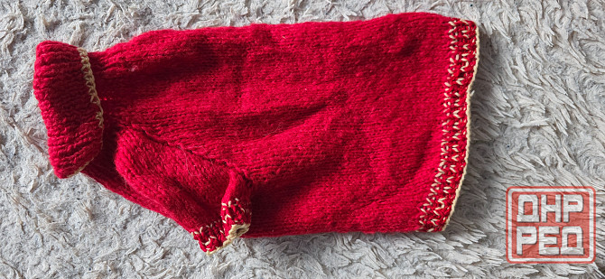 Комбинезон для собаки Донецк - изображение 4