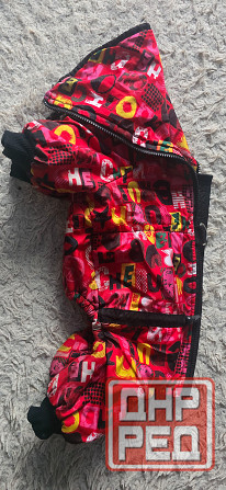 Комбинезон для собаки Донецк - изображение 1