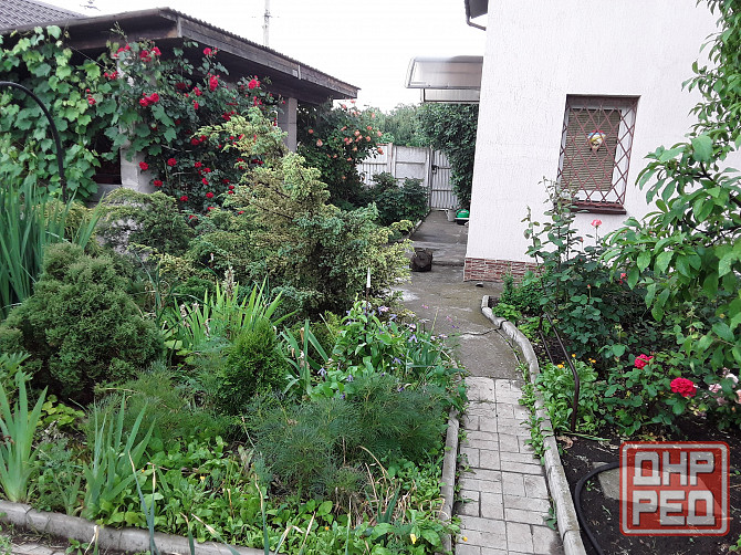 Продаю дачу со мичуринец Донецк - изображение 4