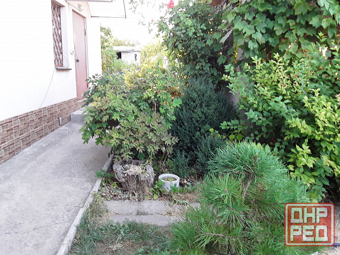 Продаю дачу со мичуринец Донецк - изображение 2