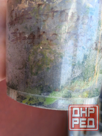 Орхидея фаленопсис PF9975 ( Green World Snakeskin) Донецк - изображение 8