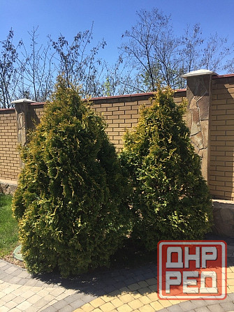 Продам лучший дом в Андреевке, своя скважина. Донецк - изображение 7