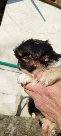 Детки конфетки Снежное