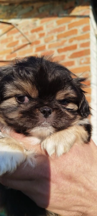 Детки конфетки Снежное