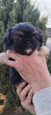 Детки конфетки Снежное