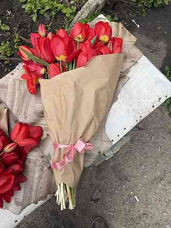 Продам букеты тюльпанов: 51шт, 71 шт, 101 шт, 251 шт Макеевка