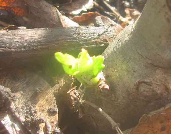 белы Донской воду отключили Донецк