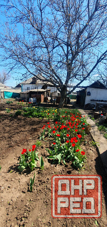 Продам дом и земельный участок Зугрэс - изображение 11