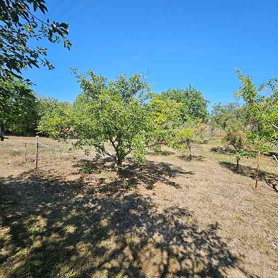 Продажа дачи в Моспино Донецк