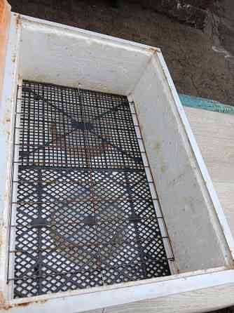 инкубатор Ясиноватая