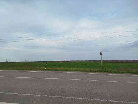 Продаётся земельный пай: 3,98 гектар около села Приморское Новоазовск