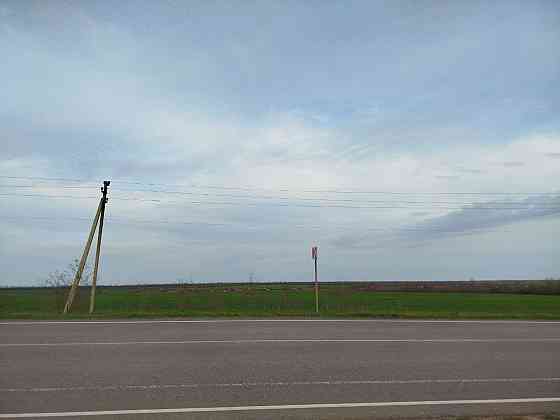 Продаётся земельный пай: 3,98 гектар около села Приморское Новоазовск