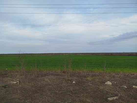 Продаётся земельный пай: 3,98 гектар около села Приморское Новоазовск