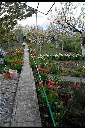 Продается ухоженный земельный участок с дачей Мариуполь