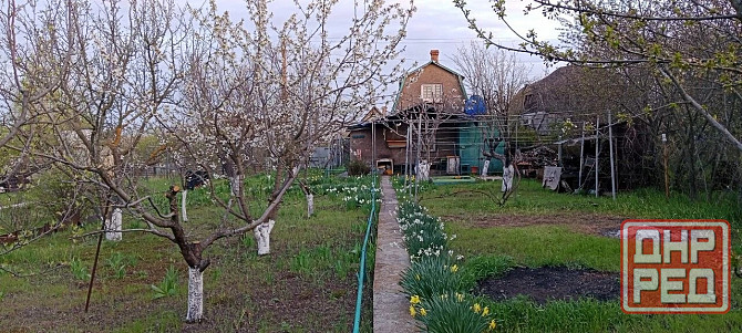 Продается ухоженный земельный участок с дачей Мариуполь - изображение 9