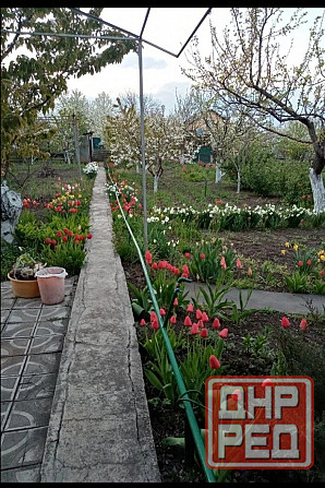 Продается ухоженный земельный участок с дачей Мариуполь - изображение 1