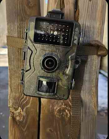 Фото ловушка охотничья Макеевка