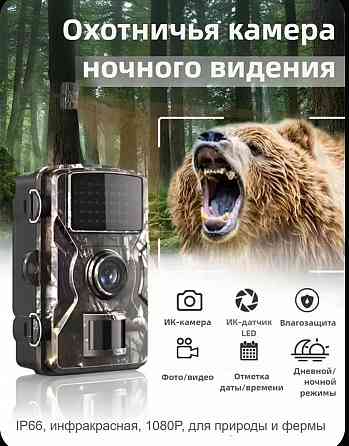 Фото ловушка охотничья Макеевка