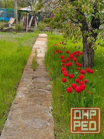 Дача 2 уровня "Левада" Донецк - изображение 2