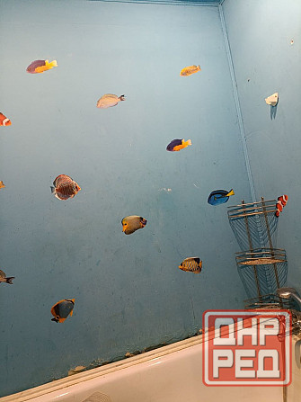 Продам 1 комнату в 2х-комнатной квартире. Рынок Объединенный. Донецк - изображение 11