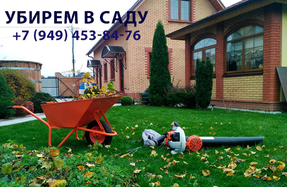Уборка в саду Донецк