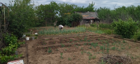 Продам дачу в Пролетарском районе Донецка Донецк