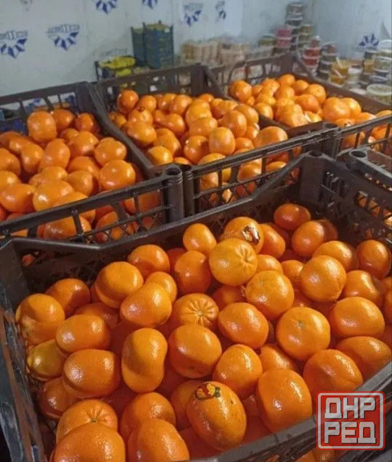 Мандарины оптом и в розницу Донецк - изображение 2