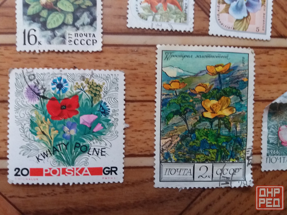 Продам марки растения Донецк - изображение 5