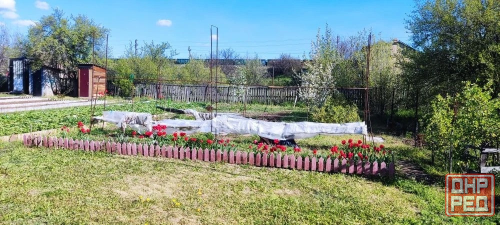 Продам дачу Донецк - изображение 7