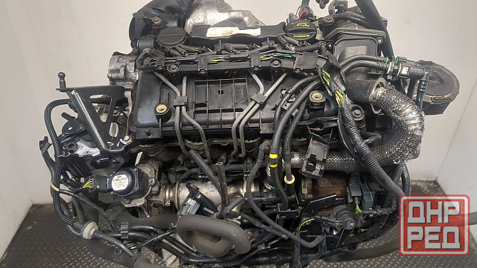 Двигатель Ford Focus 2 G8DA, G8DB, G8DC, G8DD, G8DE, G8DF Донецк - изображение 5