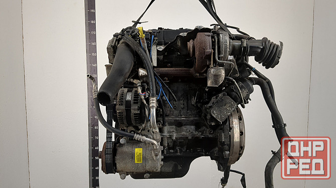 Двигатель Ford Focus 2 G8DA, G8DB, G8DC, G8DD, G8DE, G8DF Донецк - изображение 3