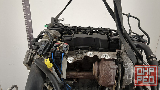 Двигатель Ford Focus 2 G8DA, G8DB, G8DC, G8DD, G8DE, G8DF Донецк - изображение 6
