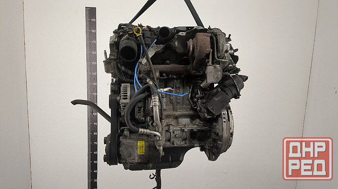Двигатель Ford Focus 2 G8DA, G8DB, G8DC, G8DD, G8DE, G8DF Донецк - изображение 2