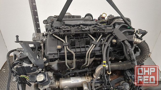 Двигатель Ford Focus 2 G8DA, G8DB, G8DC, G8DD, G8DE, G8DF Донецк - изображение 7
