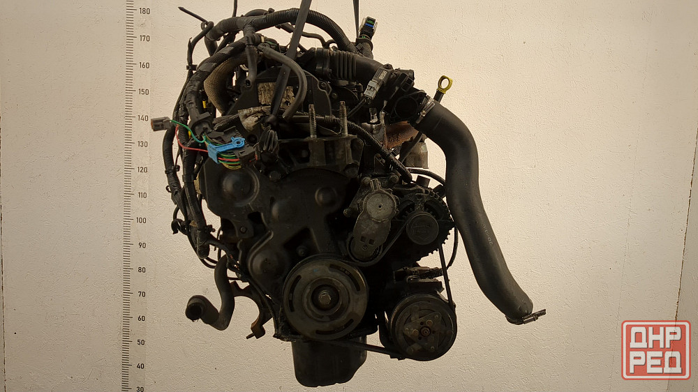 Двигатель Ford C-Max G8DA, G8DB, G8DD Донецк - изображение 1