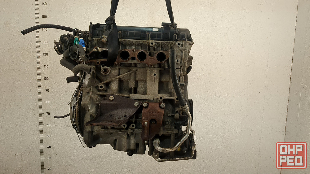 Двигатель Ford Focus 2 QQDB Донецк - изображение 4