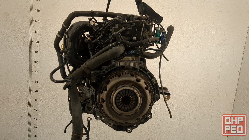 Двигатель Ford Focus 2 SHDA, SHDC Донецк - изображение 3